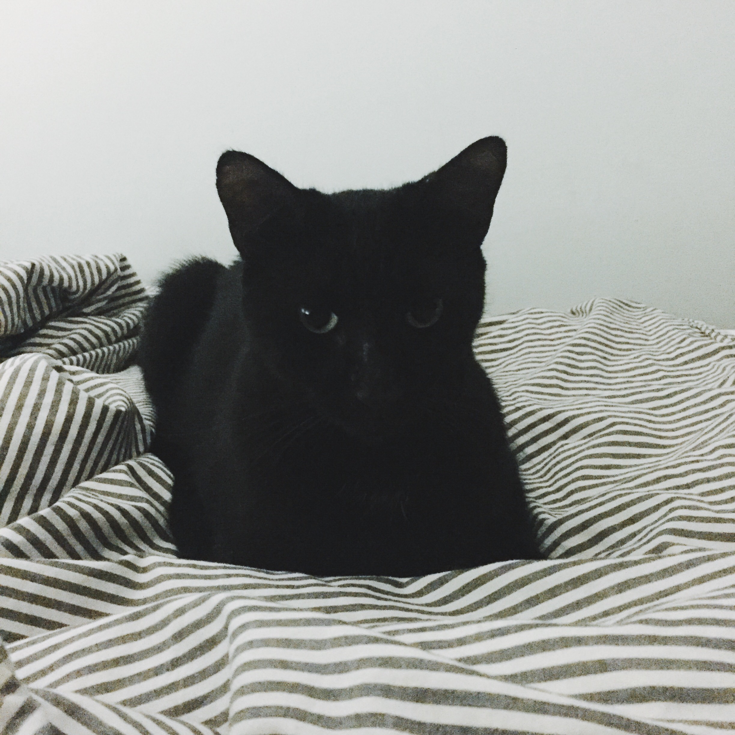 vsco-photo-1 (4).jpg